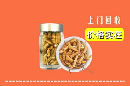天水秦州区回收散虫草