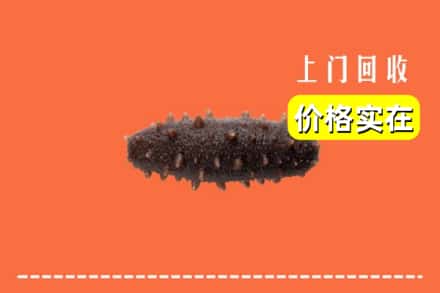 天水秦州区回收海参