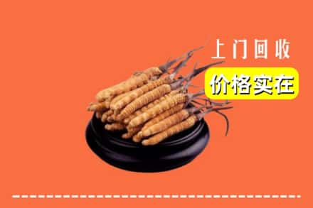 天水秦州区回收冬虫夏草