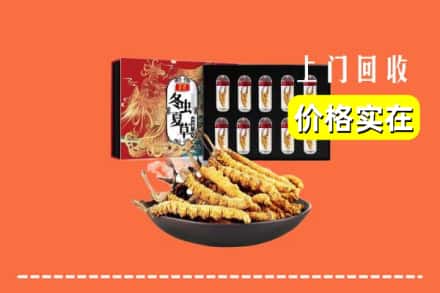 天水秦州区回收虫草